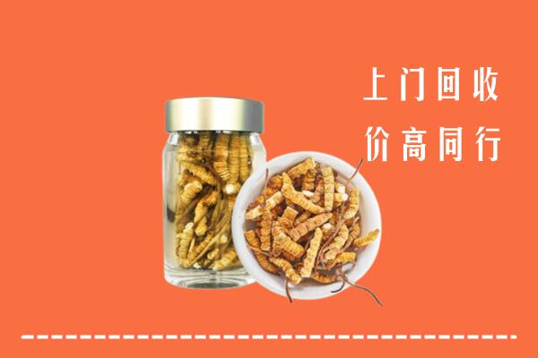 附近收购：回收冬虫夏草